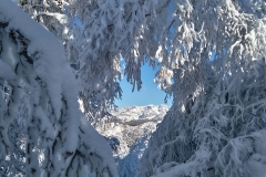 raquetas-de-nieve-asturias-2