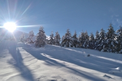raquetas-de-nieve-asturias-3