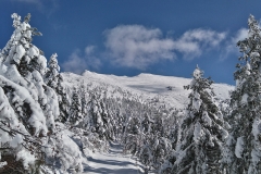 raquetas-de-nieve-asturias-4