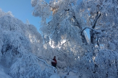 raquetas-de-nieve-asturias