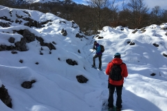raquetas-de-nieve-lagos-de-covadonga-9