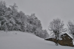 raquetas-de-nieve-ponga