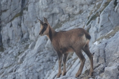 senderismo-picos-de-europa